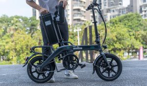 electric bike lifepspan