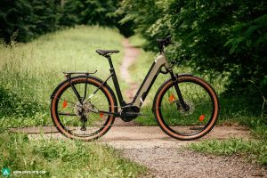 speed of the Kalkhoff electric bike