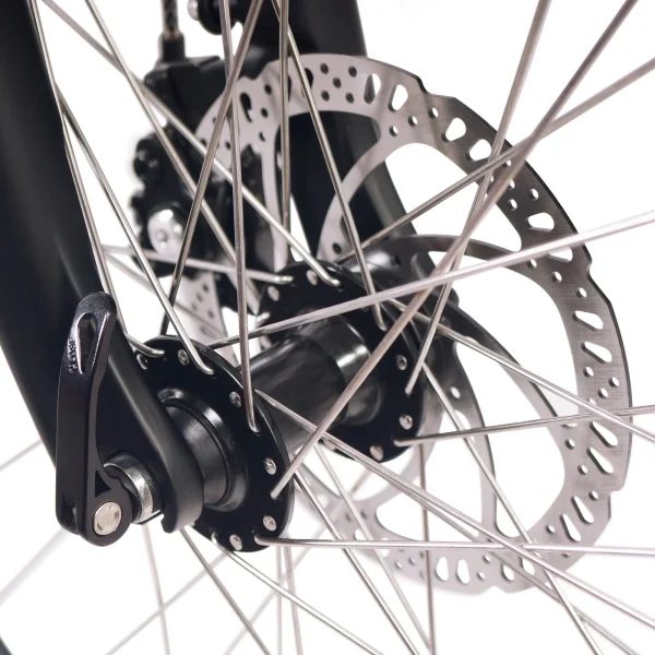 hydraulic disk brakes