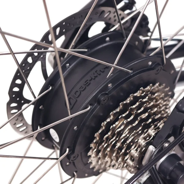 rear hub motor